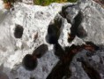 /album/lazy-september-2011/lazy-okt-2011-020-jpg/